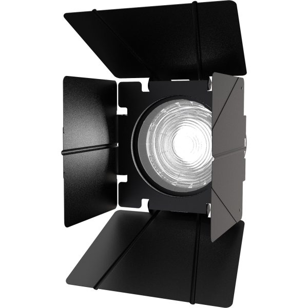 Aputure Barndoor F10